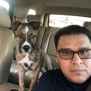 Meet your Posher, Jose